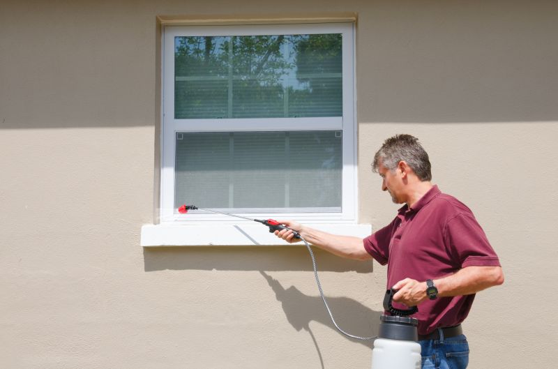 Insect Extermination Service in Katy, TX