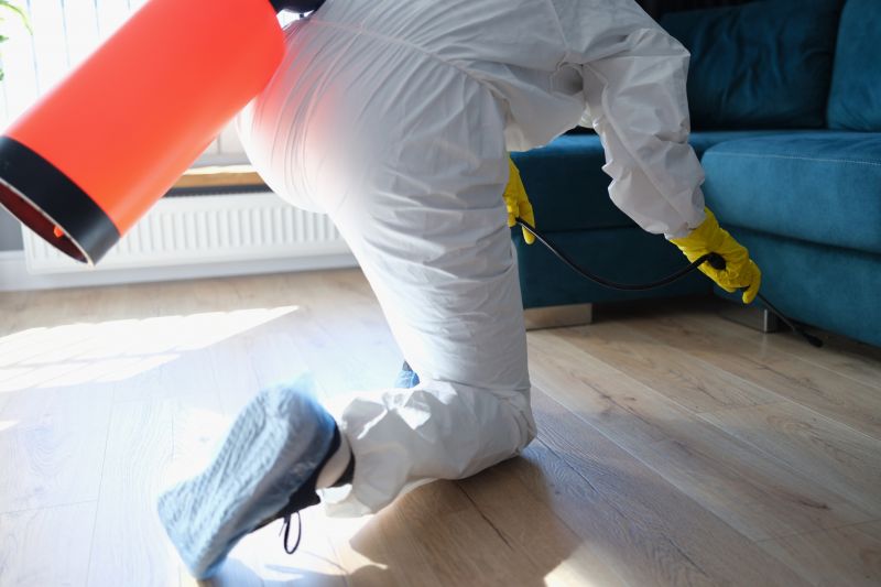 Silverfish Extermination in Arlington, TX