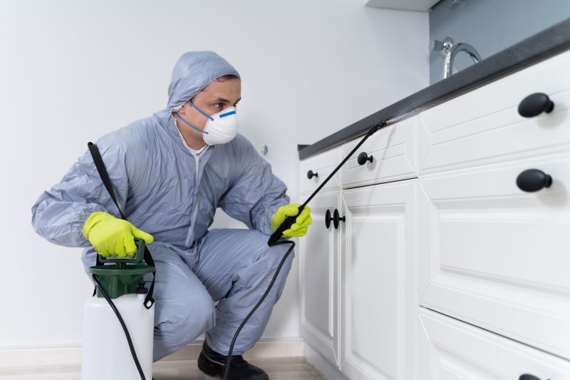 Silverfish Extermination in Frisco, TX