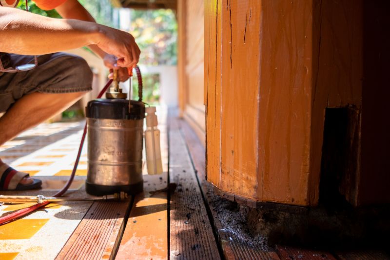Termite Infestation Service in Katy, TX
